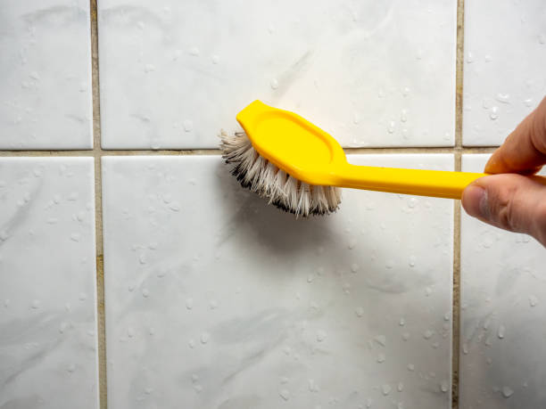 Best Emergency Mold Removal  in Grandview, IL