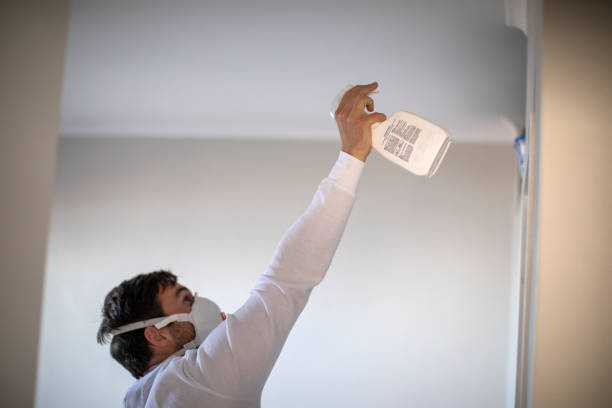 Best Mold Remediation Services  in Grandview, IL