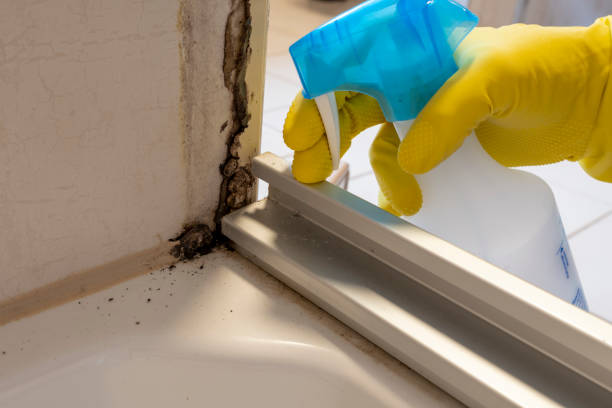 Best Professional Mold Removal  in Grandview, IL