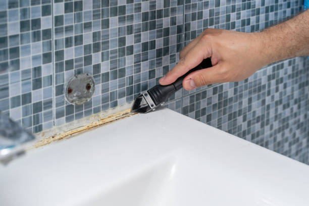 Best Mold Testing  in Grandview, IL