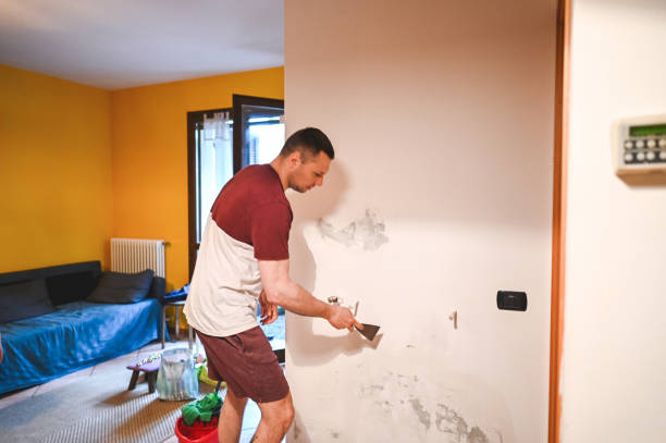 Best Mold Removal Company Near Me  in Grandview, IL